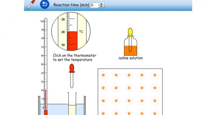 Amylase Experiment